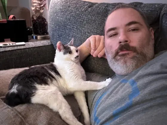 Nibbler, a black and gray cat missing a back leg and tail, on the couch with me